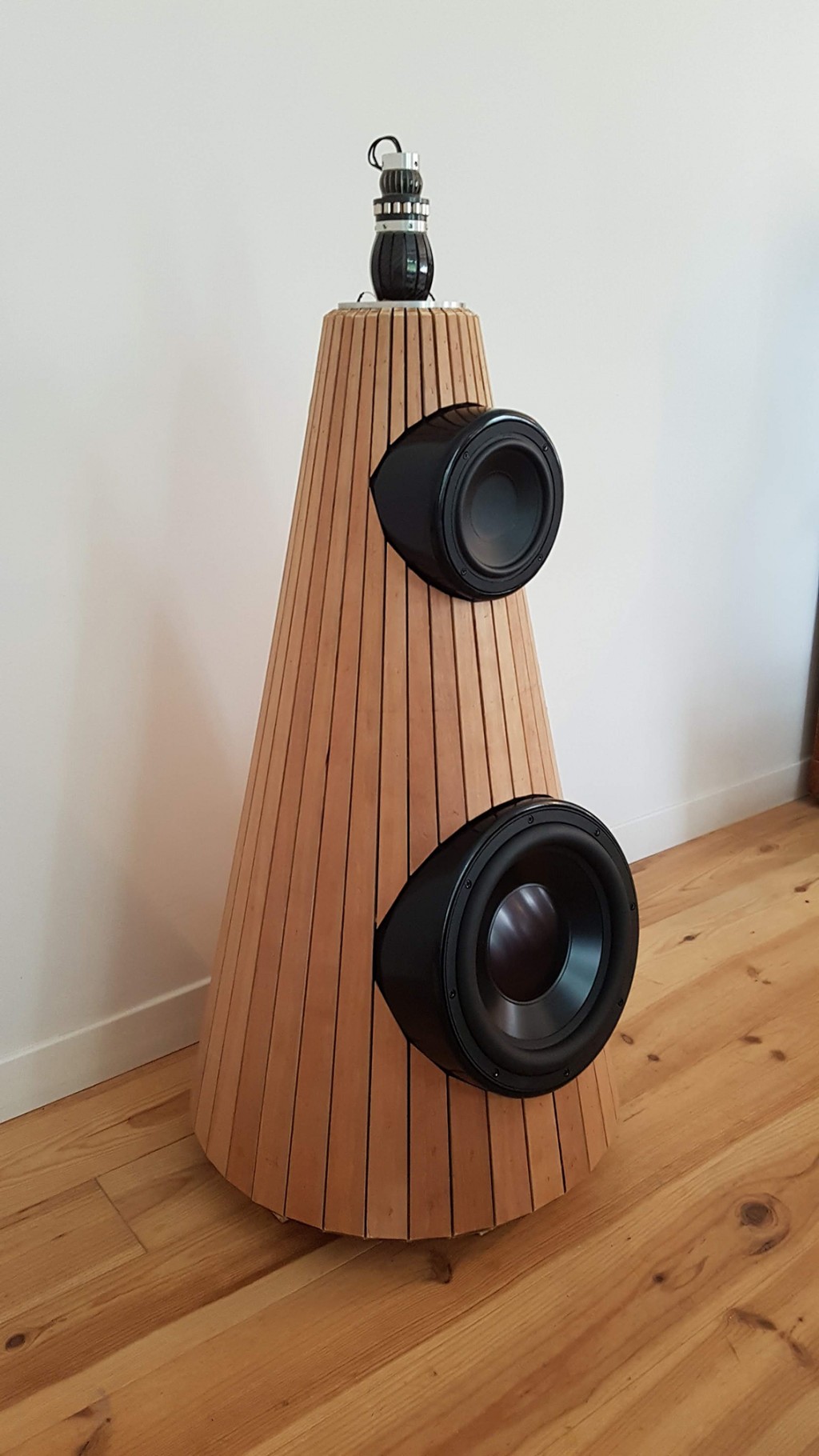 Sparrowlegs 2018 Big Speaker Build