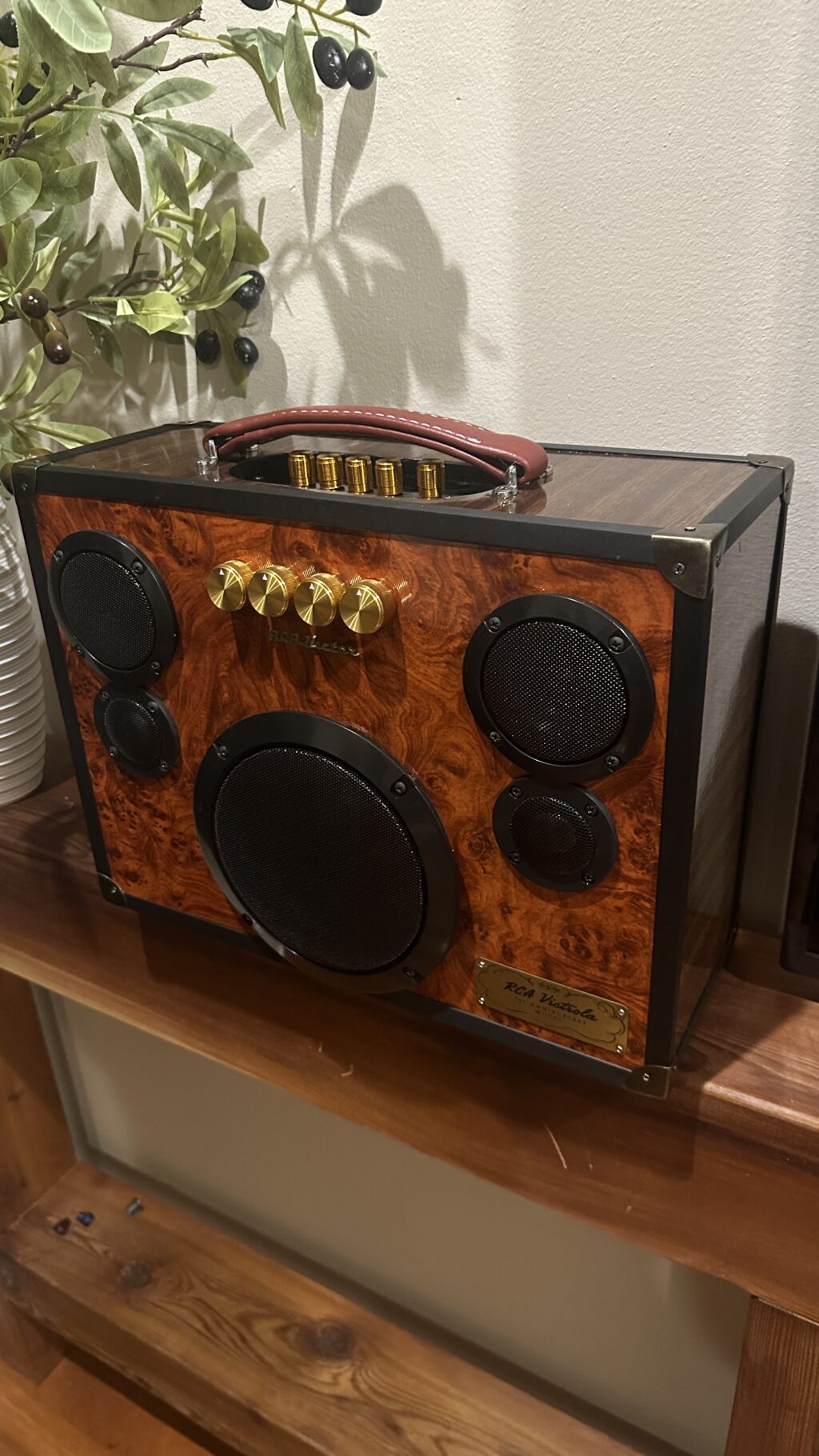 Old Time Radio Parts Express Project Gallery